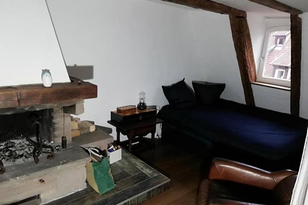 La Chaumiere Apartman Strasbourg Kültér fotó