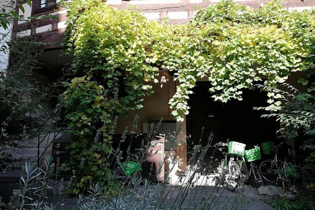 La Chaumiere Apartman Strasbourg Kültér fotó